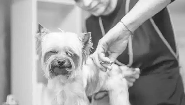 Успешни студенти